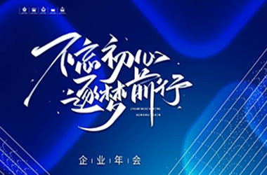 公司使命